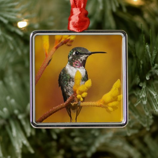 Gouden Gloed Metalen Ornament (Boom)