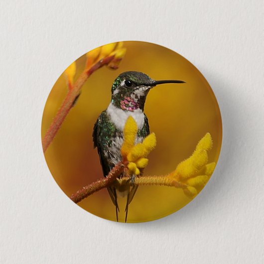 gouden gloed ronde button 5,7 cm (Voorkant)