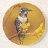 Gouden Gloed Zandsteen Onderzetter (Voorkant)