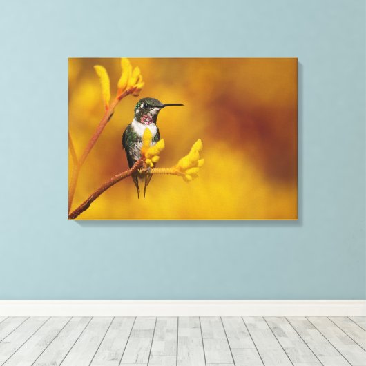 Gouden Glow Stretch Canvas Print (Insitu (Houten vloer))