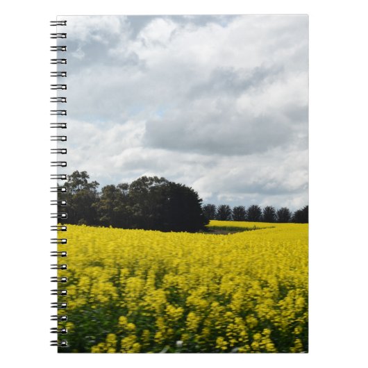 Gouden golven van Streatham Notitieboek (Voorkant)
