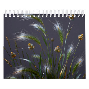Gouden Gras 2027 Agenda Kalender