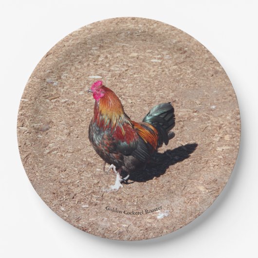 Gouden Haan Haan papieren bord (Voorkant)