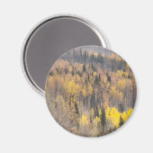 Gouden herfst boslandschap magneet (Voorkant / Achterkant)
