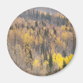 Gouden herfst boslandschap magneet