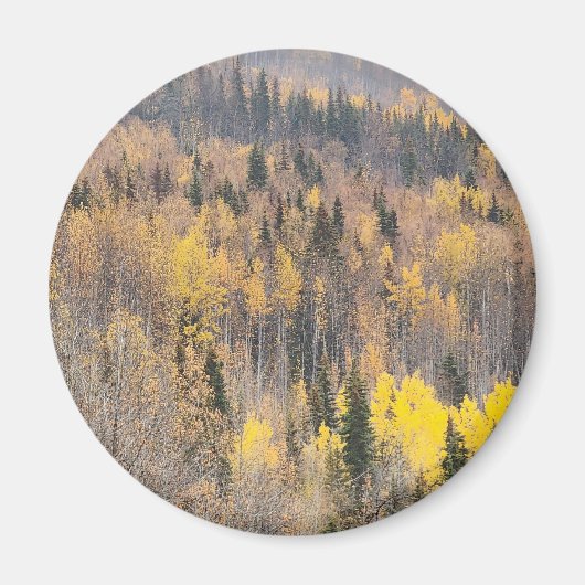 Gouden herfst boslandschap magneet (Voorkant)