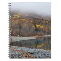 Gouden herfst boslandschap