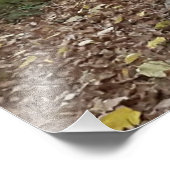 Gouden Herfst Bospad Foto Afdruk (Hoek)
