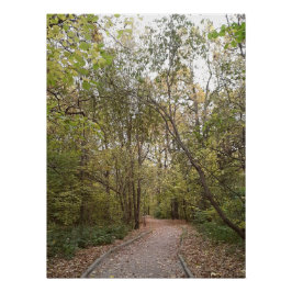 Gouden Herfst Bospad Perfect Poster
