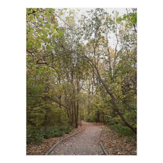 Gouden Herfst Bospad Perfect Poster (Voorkant)