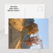 Gouden herfst... briefkaart (Voorkant / Achterkant)