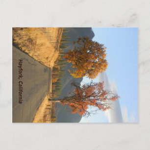 Gouden herfst... briefkaart