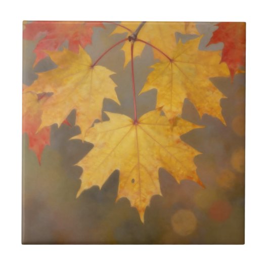 Gouden Herfst Esdorenbladeren Tegeltje (Voorkant)