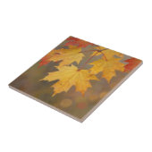 Gouden Herfst Esdorenbladeren Tegeltje (Zijkant)