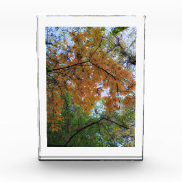 Gouden Herfst Fotoblok