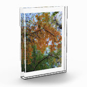 Gouden Herfst Fotoblok (Links)