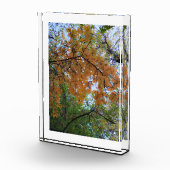 Gouden Herfst Fotoblok (Rechts)