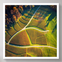 Gouden herfst in de wijngaarden