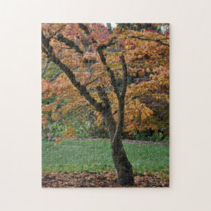 Gouden herfstboom legpuzzel
