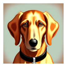 Gouden Hond Met Halsband Met Identificatielabel
