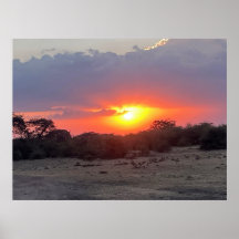Gouden Horizon – Afrikaanse Safari Zonsondergang F