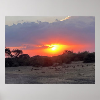 Gouden Horizon – Afrikaanse Safari Zonsondergang F Poster