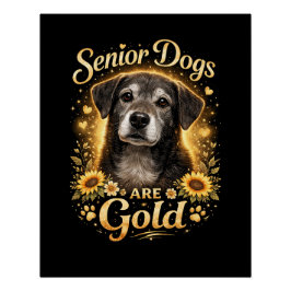Gouden Jaren, Trouw Hart Perfect Poster