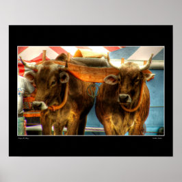 Gouden kalveren poster