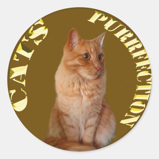 Gouden kattenmunten met gemberkat, ronde Sticker (Voorkant)