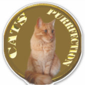 Gouden kattenmunten met gemberkat, sticker (Voorkant)