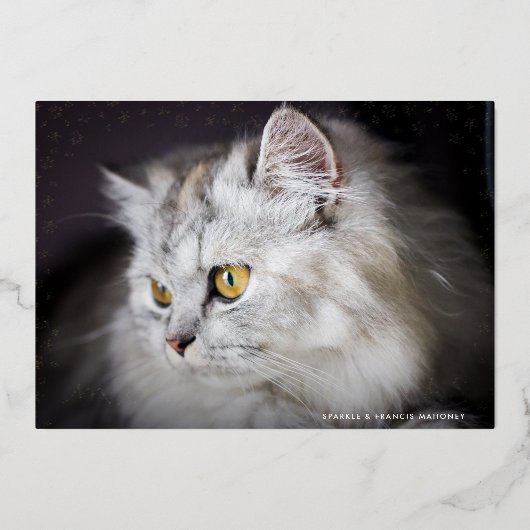 Gouden Kermis Kerstmis Kat Liefhebber Foto Folie Feestdagenkaart (Voorkant)