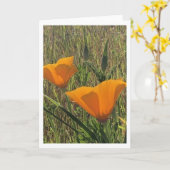Gouden klaprozen (binnenkant blanco) kaart (Gele Bloem)