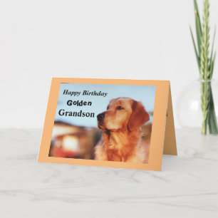 Gouden kleinzoon Birthday Golden Retriever Kaart