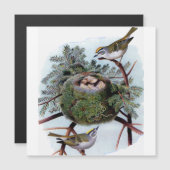 gouden koninkrijken (Voorkant / Achterkant)