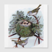 gouden koninkrijken (Voorkant)