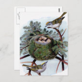 gouden koninkrijken briefkaart (Voorkant / Achterkant)