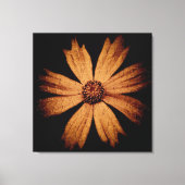 Gouden Kosmos Bloem op Zwart Canvas Afdruk (Voorkant)