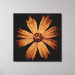 Gouden Kosmos Bloem op Zwart Canvas Afdruk