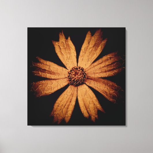 Gouden Kosmos Bloem op Zwart Canvas Afdruk (Voorkant)