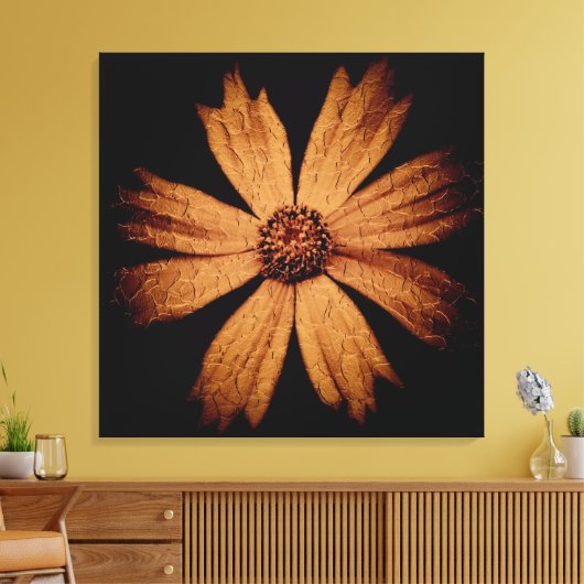 Gouden Kosmos Bloem op Zwart Canvas Afdruk (Insitu (Woonkamer))