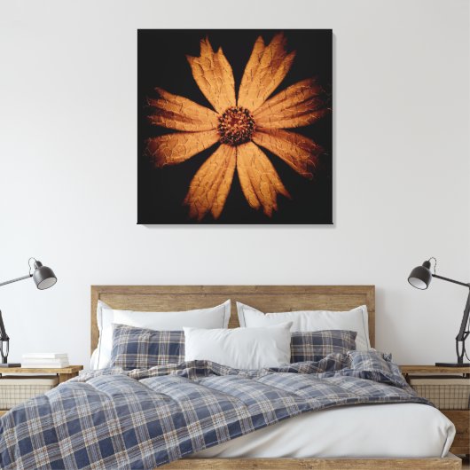 Gouden Kosmos Bloem op Zwart Canvas Afdruk (Insitu (Slaapkamer))