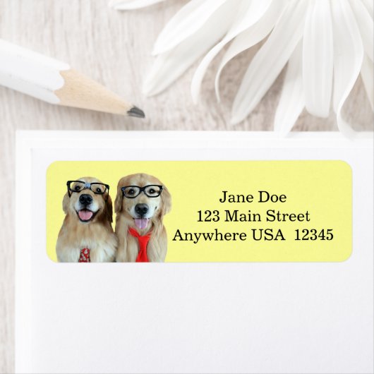 Gouden koudriever met nerd glas etiket (Insitu)