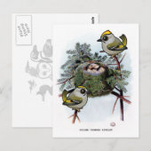  gouden kroonkroon Kinglet Briefkaart (Voorkant / Achterkant)