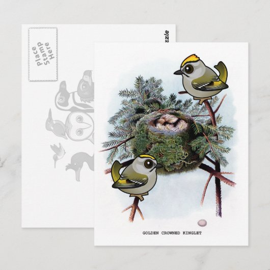  gouden kroonkroon Kinglet Briefkaart (Voorkant / Achterkant)