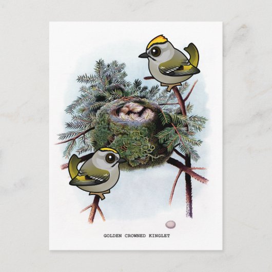  gouden kroonkroon Kinglet Briefkaart (Voorkant)