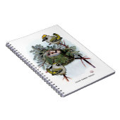  gouden kroonkroon Kinglet Notitieboek (Rechterzijde)