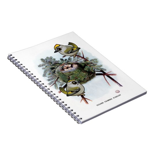  gouden kroonkroon Kinglet Notitieboek (Rechterzijde)