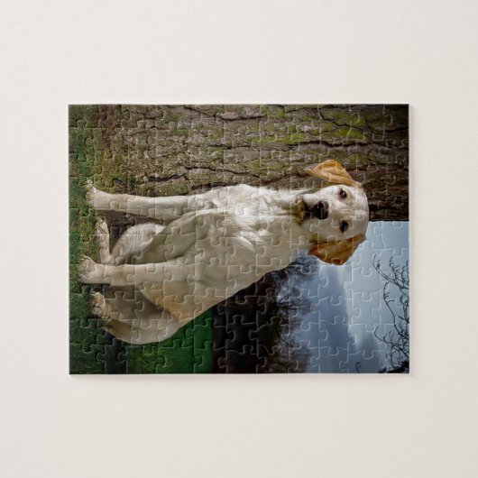 gouden Labrador Legpuzzel (Horizontaal)
