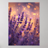 Gouden Lavendelveld Muur Kunstprint Poster (Voorkant)