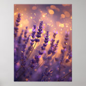 Gouden Lavendelveld Muur Kunstprint Poster (Voorkant)